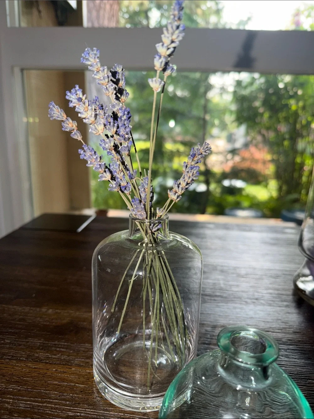 Clear Glass Bud Vases Set - Simple Home Accent